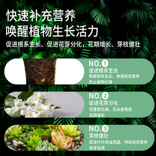 浓缩通用型植物营养液花肥发财树黄金葛家用盆栽水培花卉草绿植肥