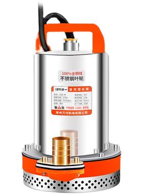 十二伏接插d电动车电瓶车专用抽水泵直流潜水泵12v24v48v60v抽水