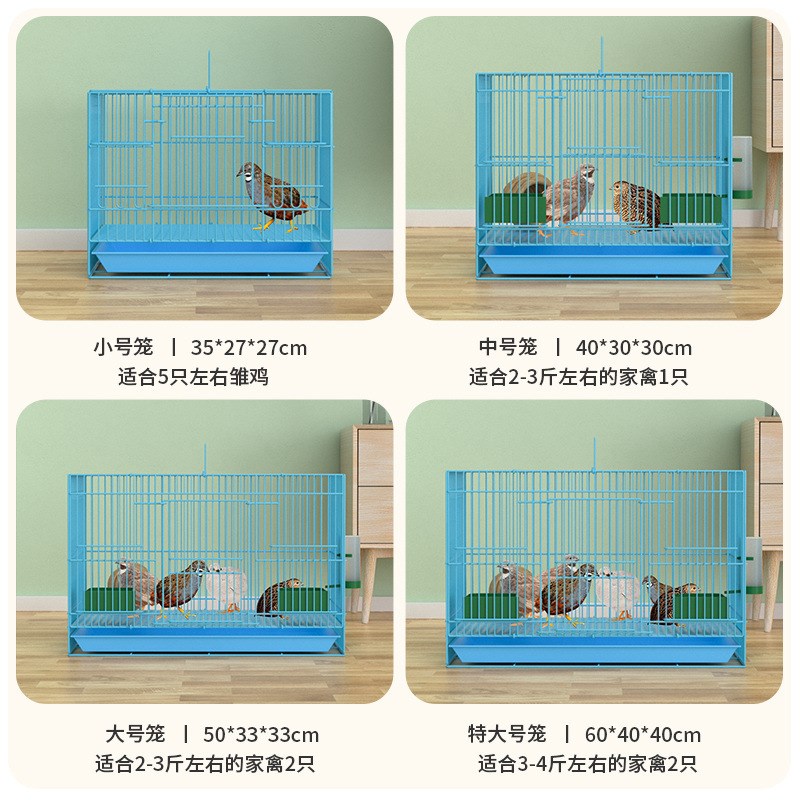 小鸭子屋柯尔鸭专用笼子养小鸭子小鸡别墅笼大号家用室内芦丁鸡笼