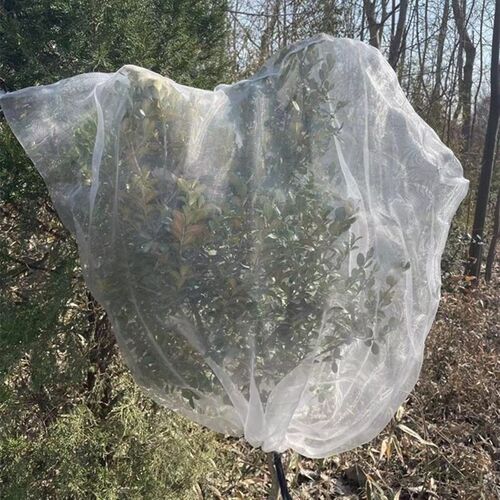 速发果树防鸟网套农用露天杨梅耐用套蚊蝇枣树防护罩蓝莓遮挡网袋