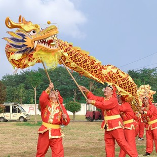 高档国标9节龙烫金龙龙头服装 舞龙灯灯光龙钢丝龙Y绸布龙舞龙