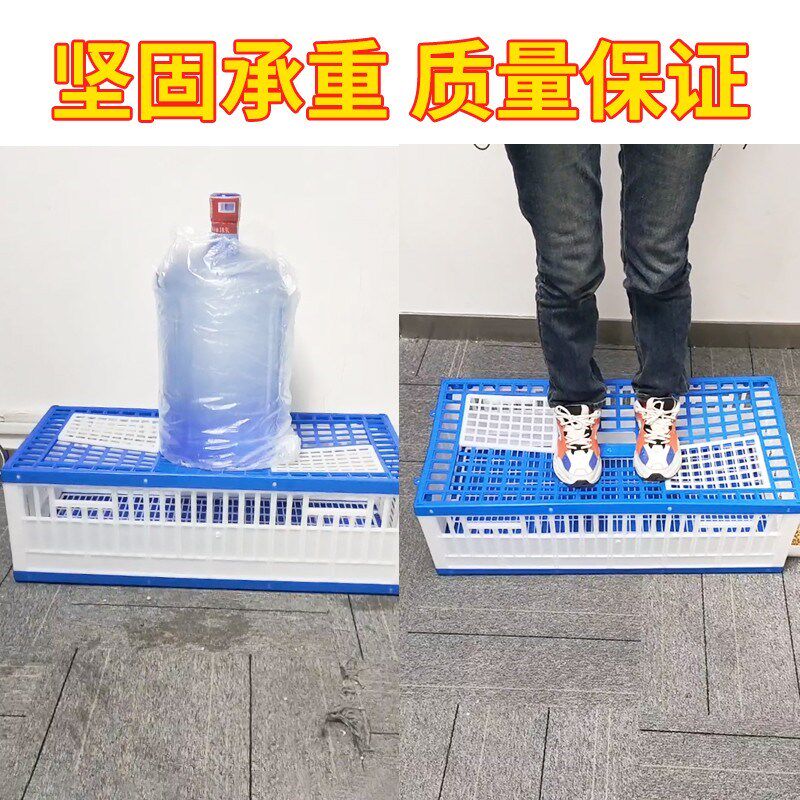 鸽子训放笼 塑料运输鸽子笼信鸽赛鸽放飞笼通道笼报道笼鸽笼便携