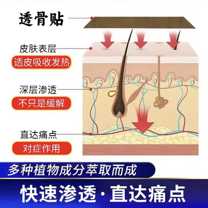 香港大药房透骨贴 草本萃取v温热渗透 颈肩腰椎腿膝关节12贴/盒