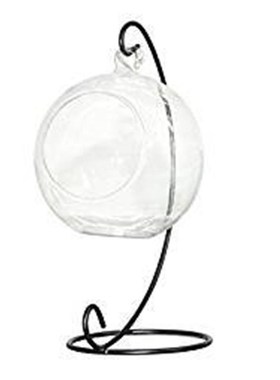 Adeeing Creative Clear Glass  Vase Micro Landscape Air Plant