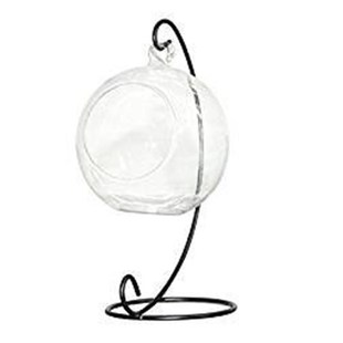 Glass Plant Creative Air Adeeing Landscape Vase Clear Micro