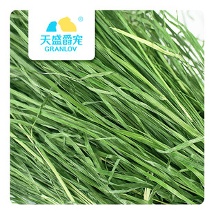 2023新头茬烘干提摩西草特级嫩绿龙猫荷兰猪豚鼠兔子X饲料北提牧