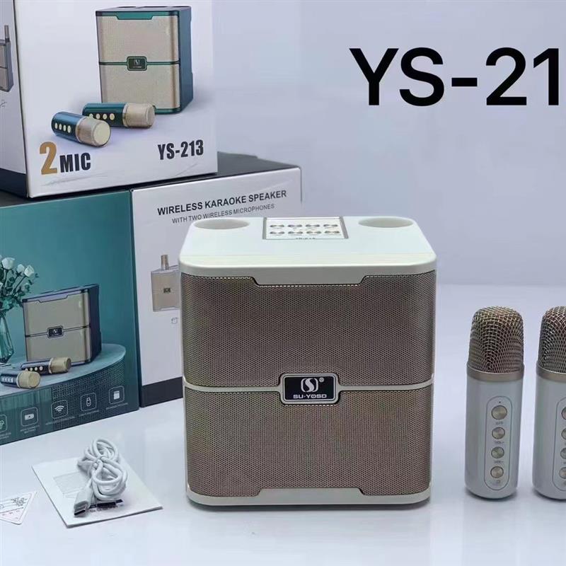 速发2023新款新款YS213K歌音响美声消原音混音器三重变身效果广场