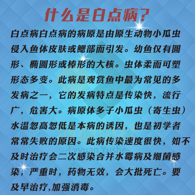 厂家日野鱼药硝酸亚汞水剂小瓜虫病鱼外寄白点外伤白斑白头口免加