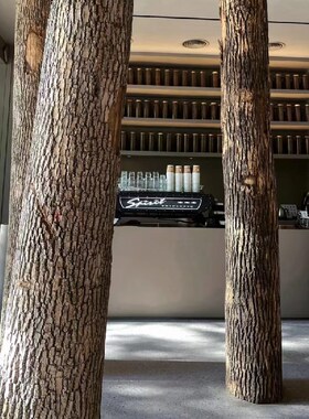 原木带树皮大树干咖啡厅民宿装饰干树枝造景木头摆件W北欧圆木柱