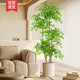 仿真植物南天竹落k地盆栽室内大型仿生绿植摆件客厅轻奢装 饰花假