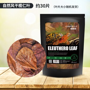 速发宠尚天小乌龟活体预防腐皮调节水质免煮风干龙眼叶榄仁叶养巴