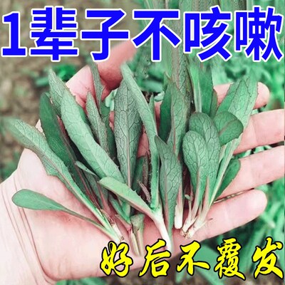 推荐咳嗽特效药止咳化痰神器大人儿童喉咙痒干咳嗽偏方过敏性咳嗽