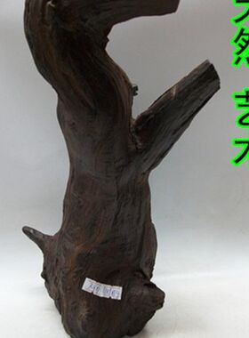 老挝大红酸枝原木料随形摆件v 交趾黄檀根雕木料 老红木风化带白