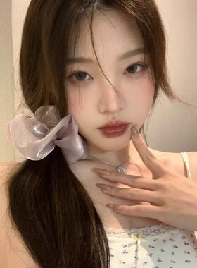 法式紫色缎面高级感真丝大肠发圈女猪大肠发绳韩系高级感发饰头花