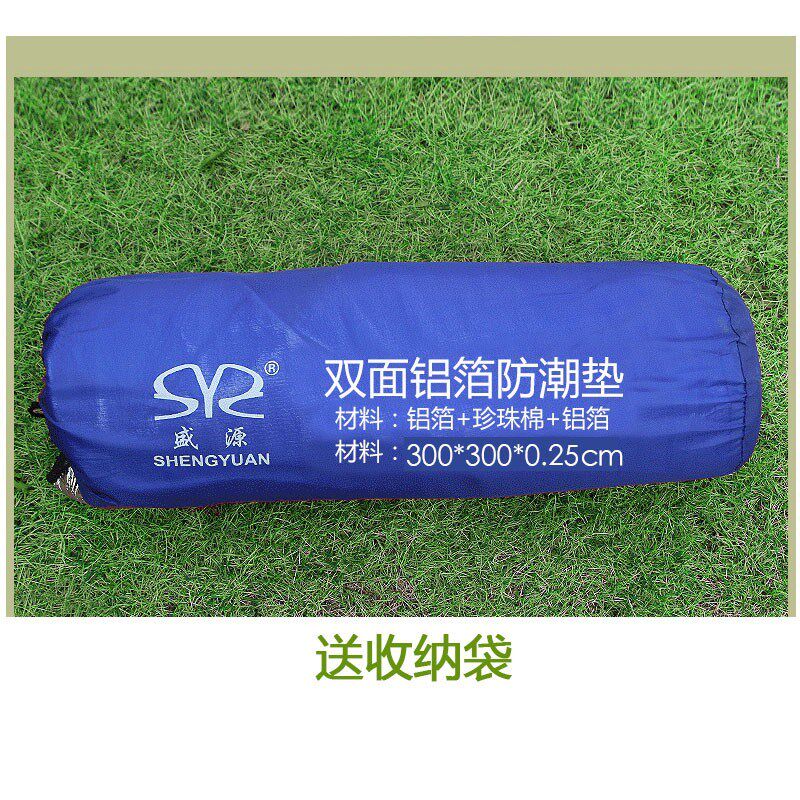 户外防潮野餐垫3*3米超大号双面草坪垫子地垫多人防水5-8人郊游垫