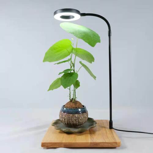 鱼缸植物灯工厂桌面水草竹板补led灯景观直销微多灯肉光灯灯