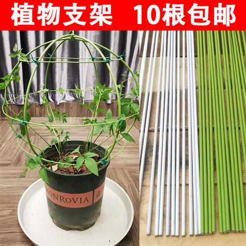 工厂销花b卉支架铁丝杆家用种花固定支撑植物造型自制棒棒糖爬藤