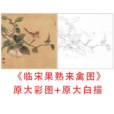 品描印稿宋画小白李晓v明果熟来禽图实物勾线打底稿87