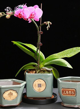 Terracotta Pot for Plant Pot Chinese Ceramic Pots Crushed Ic