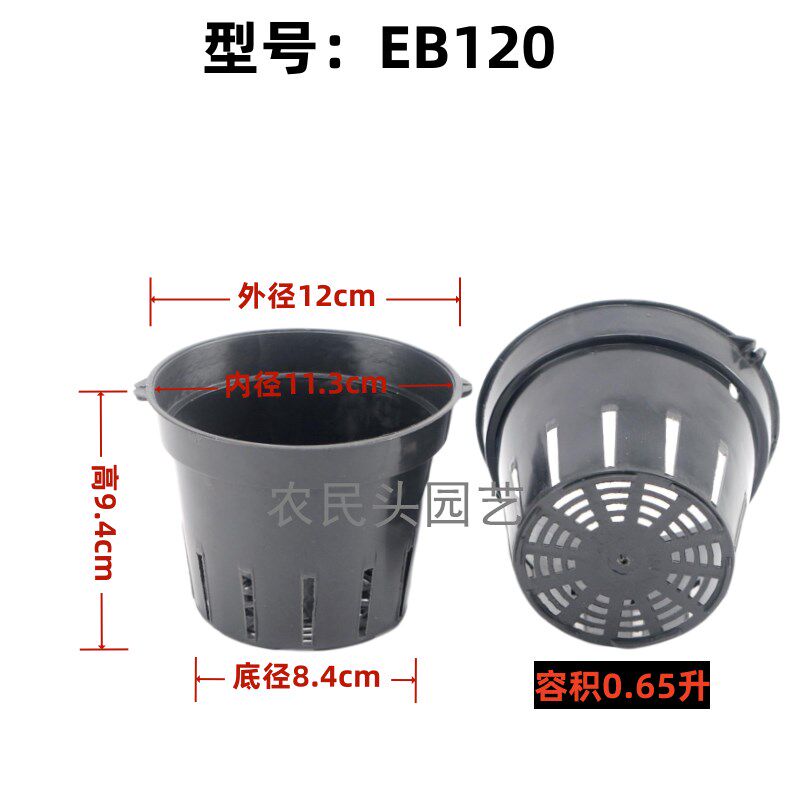 小众高货EB塑料气生洋兰盆石斛蝴蝶兰多孔花盆控根吊兰盆壁挂垂吊