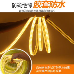 饰白光暖灯带条 100米led灯带整卷家用客厅吊顶户外防水工程亮化装