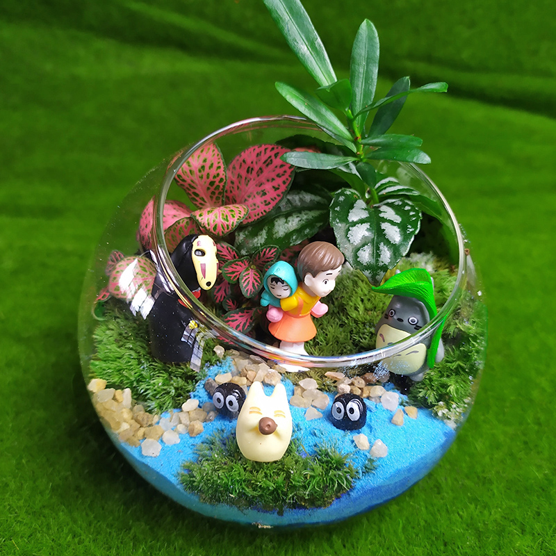 极速苔藓生态玻璃球缸瓶鲜活多肉小盆栽室内活动创意微景观DIY材