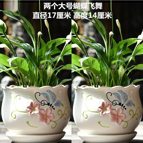 现货陶瓷花盆带托盘一套两个阳台多肉花盆大号 特大号清仓盆栽绿