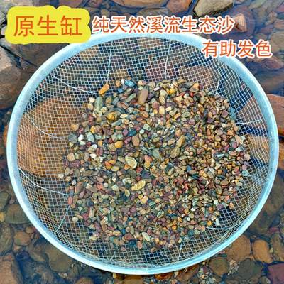 现货速发原生鱼缸底砂造景沙溪流砂水族沙子电龙龟鱼缸天然河沙石