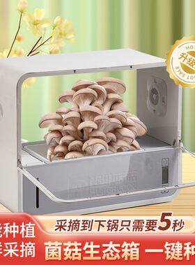 超级菇菇蘑菇生态箱菌菇种植箱蘑菇培养箱智能室内香菇种植设备