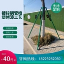 树木支撑架大树支撑杆防风支撑固定器绿化苗木行道树热镀锌支撑架