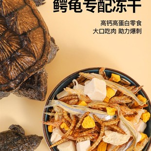 速发北美小鳄龟大鳄龟肉干鳄龟饲料龟粮爆刺粮食纯杂佛鳄鱼龟乌龟