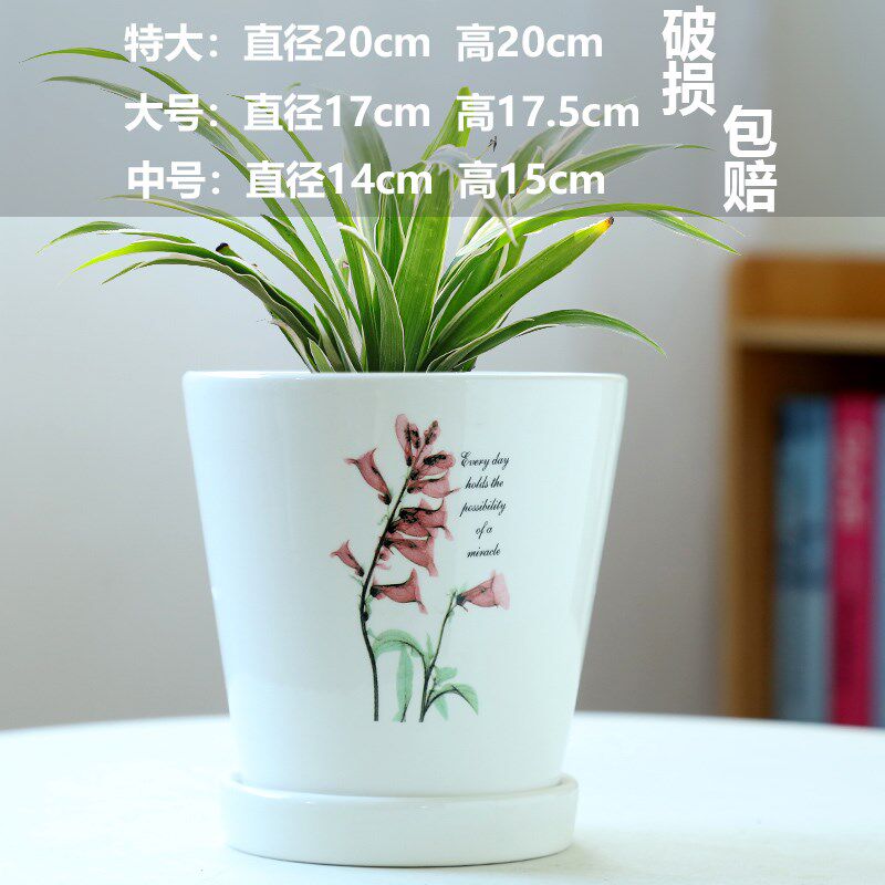 小众高货君子兰专用白色陶瓷盆花盆带托盘家用兰草兰花养花种花盆