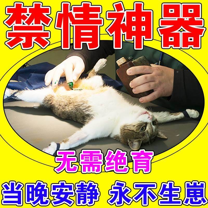 现货速发猫咪发情抑制药母猫专用公不让猫发情的药宠物猫狗绝育禁