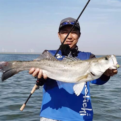 现货段公子推荐公子lT尾路亚软饵5cmT尾鱼路亚仿生软铒鱼饵假铒软