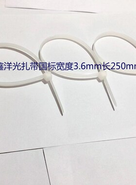 4X25白0色黑色塑料自锁式鑫洋光尼龙扎带封条塑料扣束带线带捆线