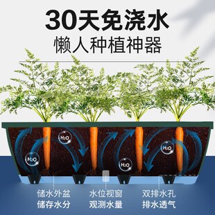 种菜专用箱泡沫阳台种菜盆长方形塑料花盆家庭蔬菜种植盆种菜神器