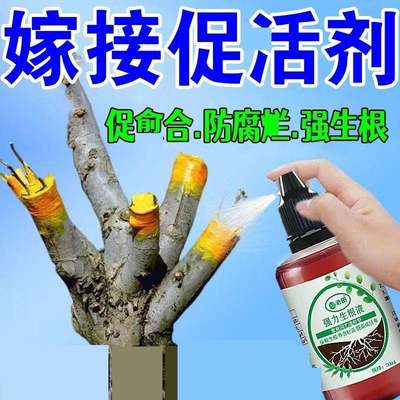 新品【当晚出芽】果树嫁接植物扦插愈合剂促活液盆景花卉防腐烂生