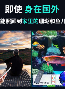 水族箱冲浪粪海泵造缸鱼缸造静宝氧浪增泵捷超变频泵智能流吹器