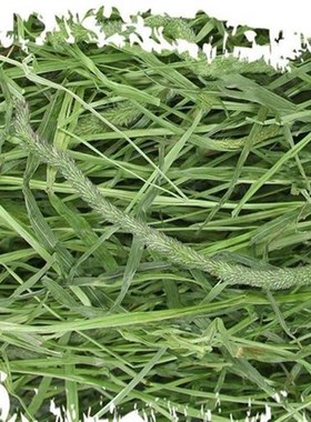 2022 timothy grass hay forage grass rabbit rabbit food