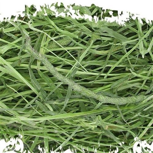 2022 timothy grass hay forage grass rabbit rabbit food