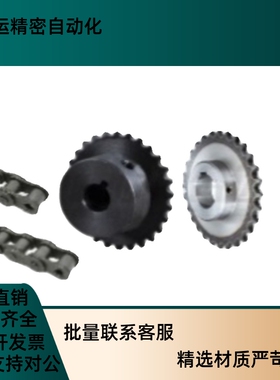 链轮VLY21-10B-15 16 17 18 20 21 24 25-D20 D22 D25 D30 D32