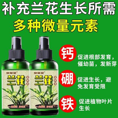 治兰花烂根空根茎腐烂促F生根分芽壮根开花催芽