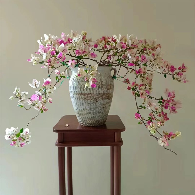 重瓣三角梅盆栽花卉阳台庭院绿植爬藤飘枝老桩盆景带花发货四季开