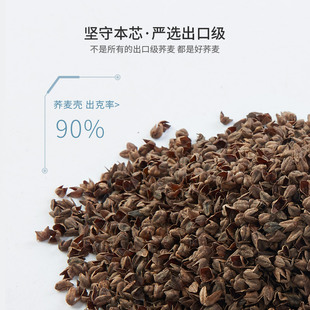 全荞麦皮枕头单人高枕头夏季 成人水洗棉家用枕头大人纯荞麦壳枕头