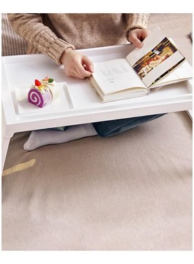 Sofa-Bed Desk Laptop-Table-Notebook Folding-Legs Eating Stud