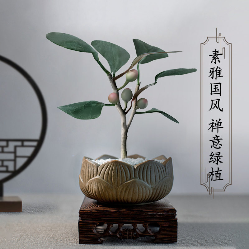 菩提禅意新中式茶室书桌客厅办公室观叶果盆景栽S迷你清新空气绿