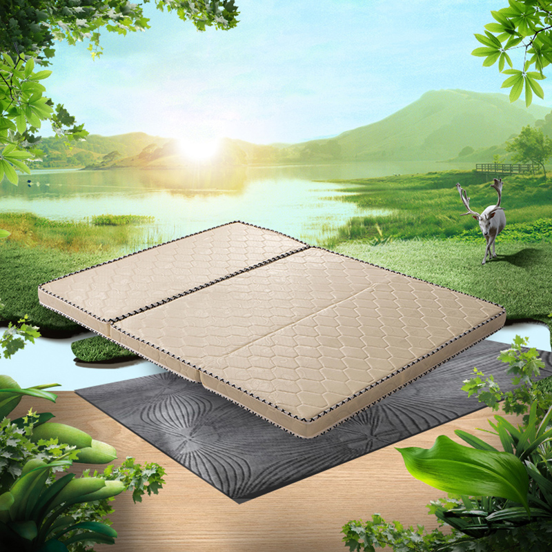 椰棕床垫硬垫家用打地舖1.8m1.5学生宿舍单人1.2米棕榈垫子可折叠