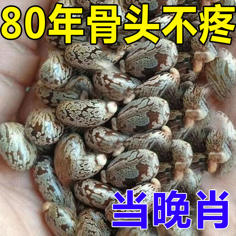 热销999%冶坏死】股骨头髋关节疼痛缺血坏死肿胀疼痛股骨头坏死专