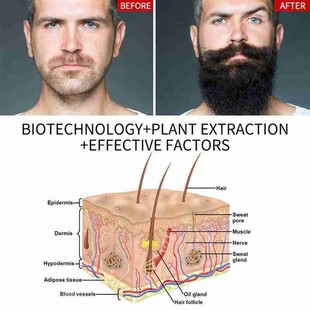 Hair Beard 推荐 Organic Oil Natural Loss Softening Products