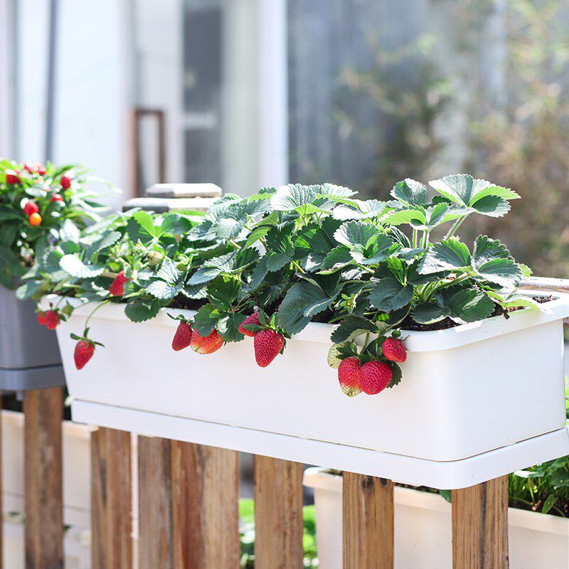 花架阳台花箱悬挂式花盆种菜盆大号种植箱栏杆壁挂栏杆长方形花槽